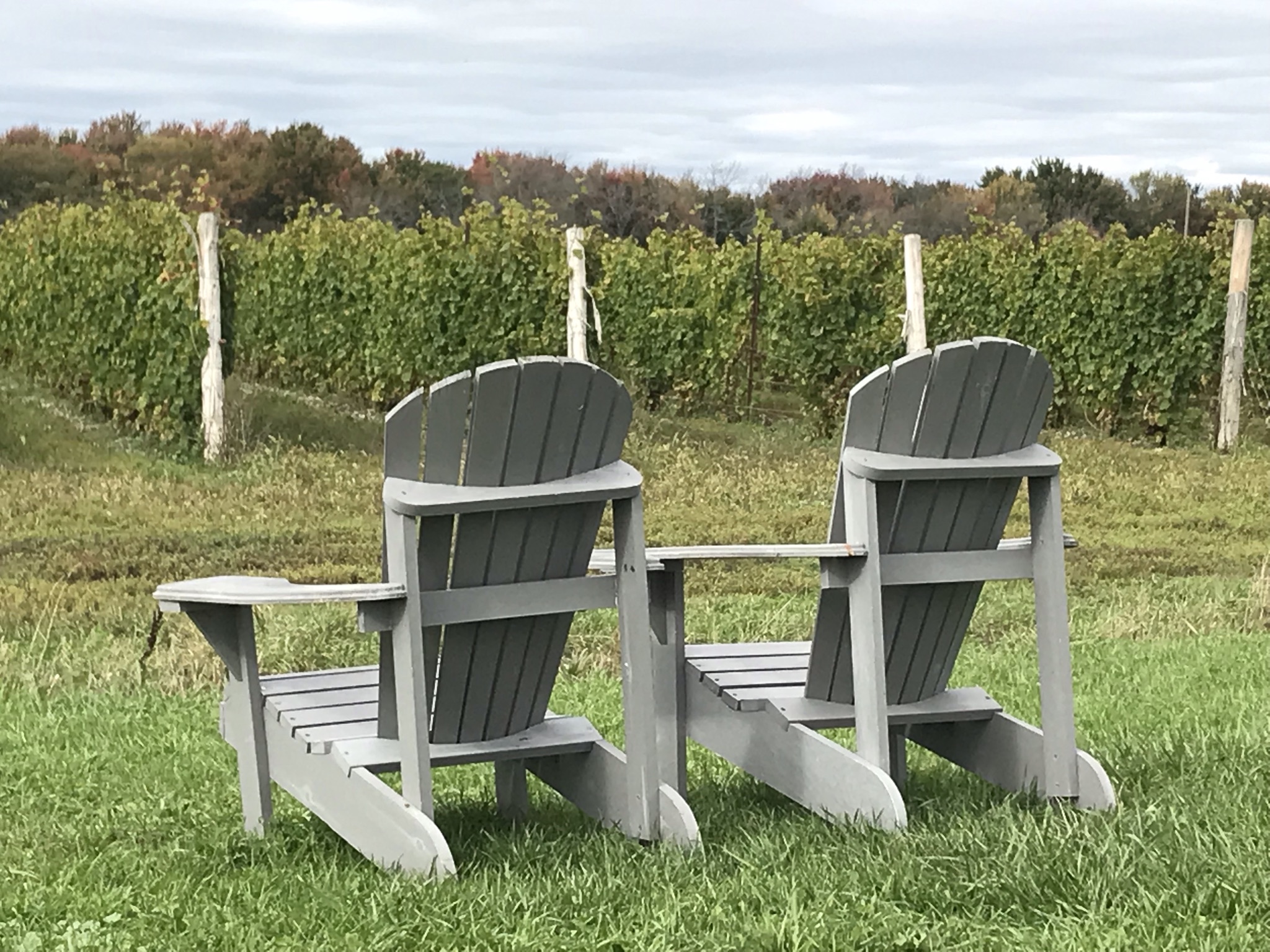 Muskoka Chairs